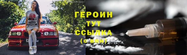 мдпв Гусев