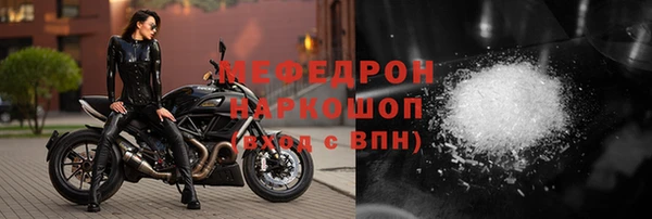 мдпв Гусев