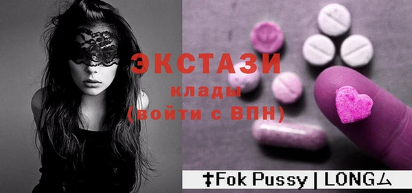 мдпв Гусев