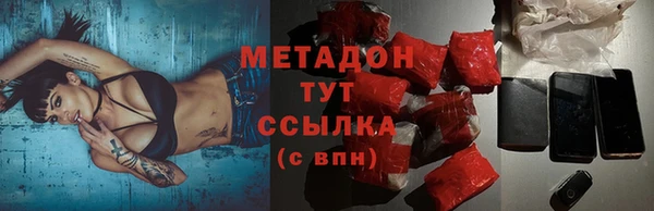 мдпв Гусев