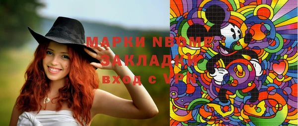 мдпв Гусев