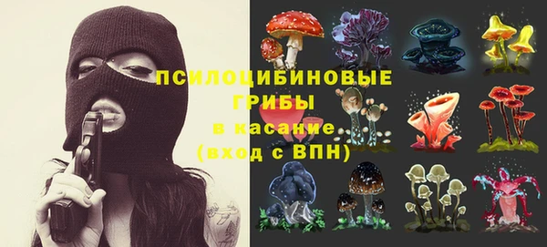 a pvp Горнозаводск