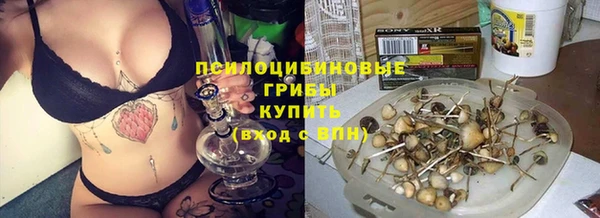 ALPHA-PVP Гусиноозёрск