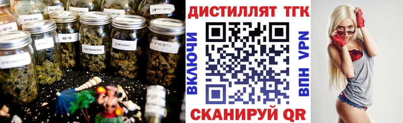 наркошоп  Хасавюрт  ТГК THC oil 