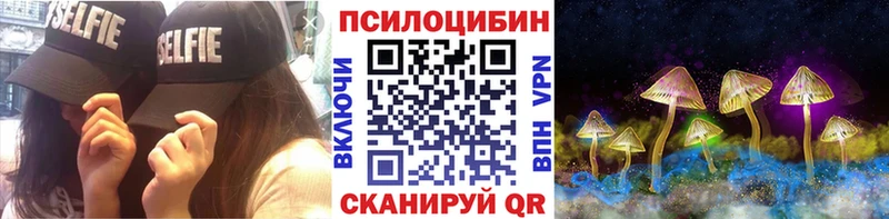кракен как зайти  Хасавюрт  Псилоцибиновые грибы Cubensis 